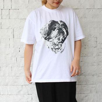 ナナティーナ 77circa 【s40】【ナナナナサーカ / 77circa】プリントショート