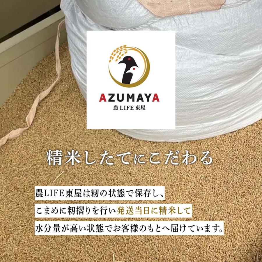 令和5年度産　3kg　白米　コシヒカリ　 お米　　　　おこめ　長野県　信州産　美味しい　立科町　たてしな　注文を受けてから精米いたします｜nolife-azmy｜03