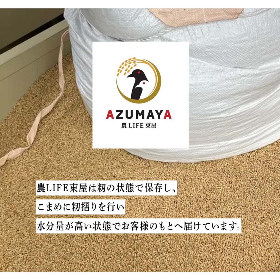 令和5年度産　　3kg　　玄米　　コシヒカリ　　お米  　　　おこめ　長野県　信州産　美味しい 立科町　たてしな｜nolife-azmy｜02