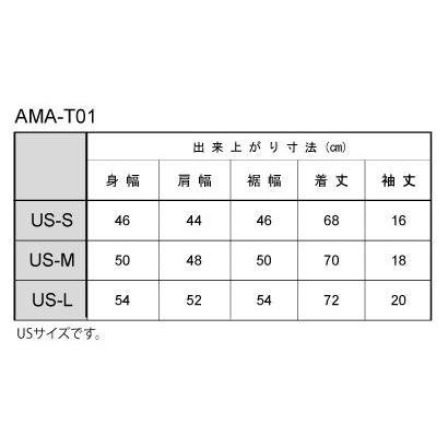 SALE Tシャツ AMA-T01 メンズ コットン スーパーバイク AMA 90周年　AMERICAN MOTORCYCLIST ASSOCIATION |  | 02