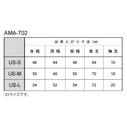 SALE Tシャツ AMA-T02 メンズ コットン AMA AMERICAN MOTORCYCLIST ASSOCIATION |  | 02