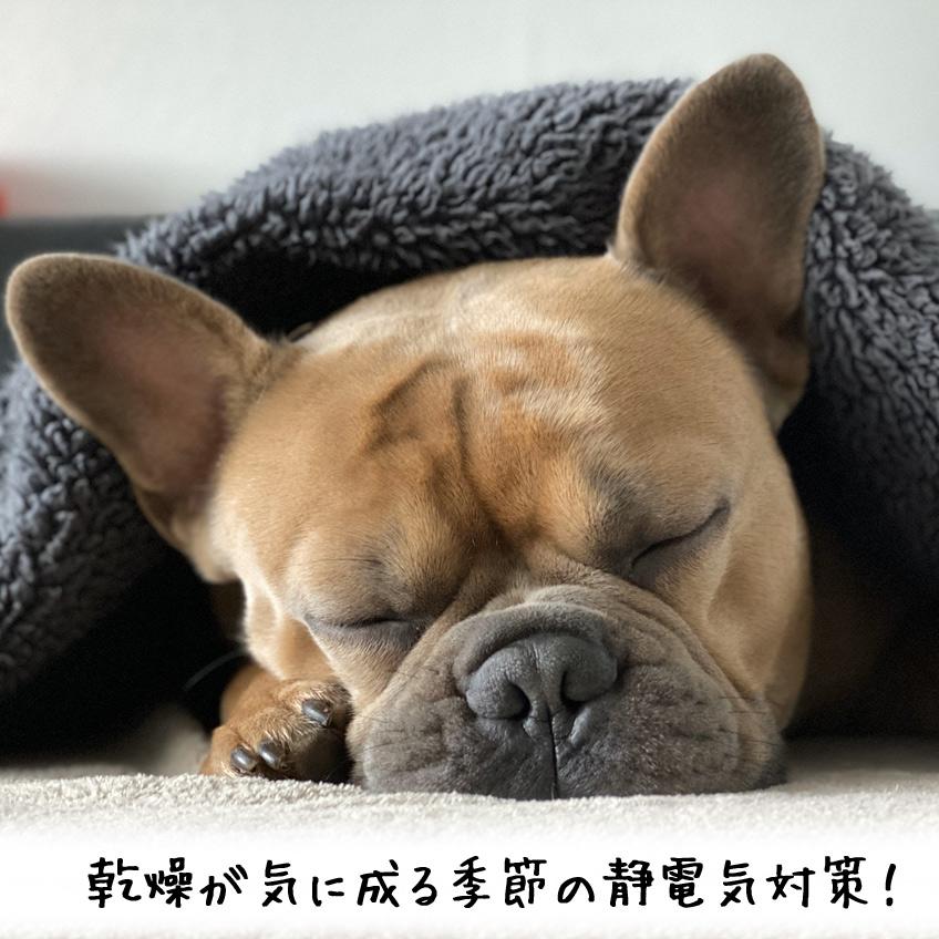 静電気防止 バイオガンス ニュートリ・リス 犬用 ブラッシングスプレー 乾燥の季節に 長毛犬にお勧め | BIOGANCE | 01