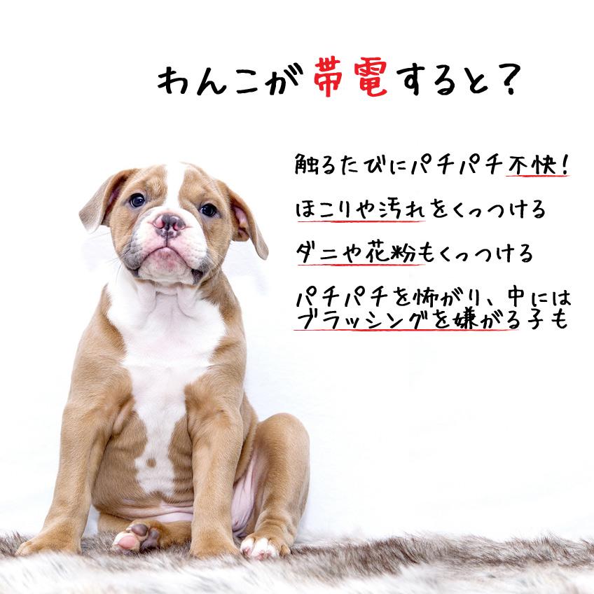 静電気防止 バイオガンス ニュートリ・リス 犬用 ブラッシングスプレー 乾燥の季節に 長毛犬にお勧め | BIOGANCE | 02