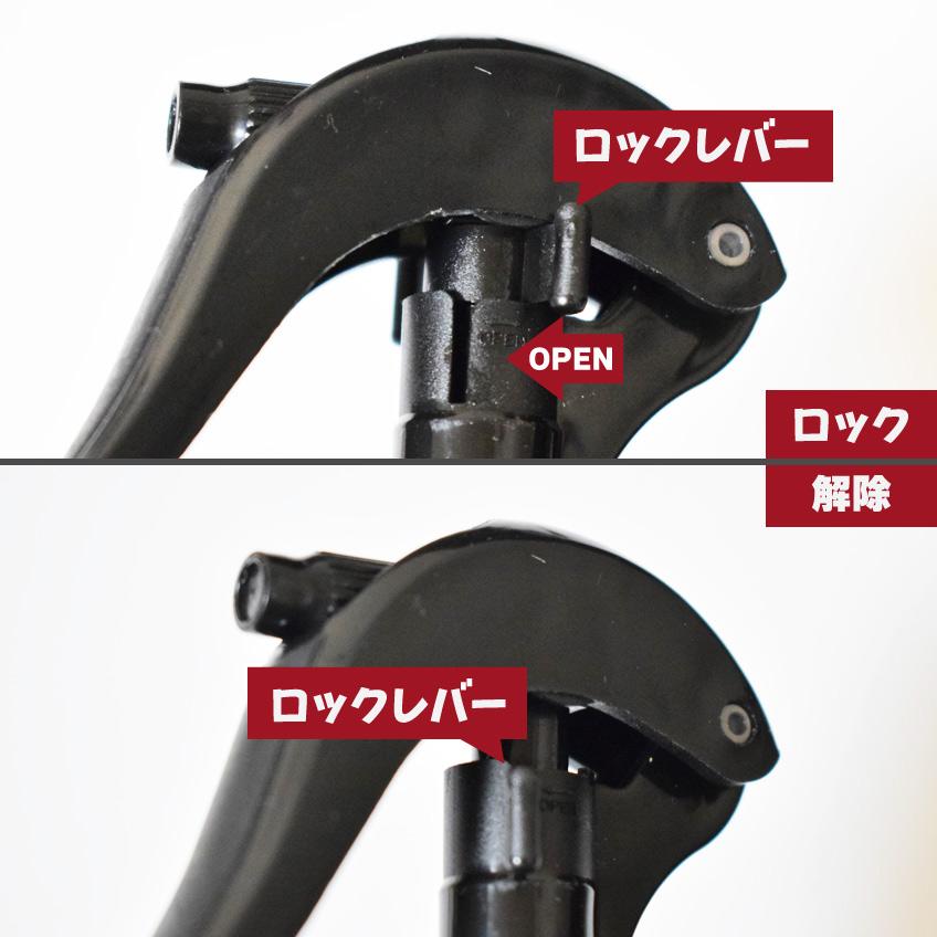 毛玉防止 バイオガンス エクストラ・リス・タングルリムーバー ブラッシングスプレー ポメ プードル シーズー ゴールデン  毛玉の出来やすい犬種に | BIOGANCE | 08
