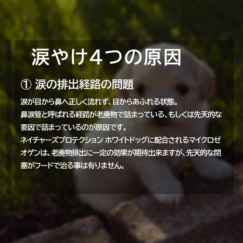 NATURE'S PROTECTION（ネイチャーズプロテクション） ホワイトドッグ
