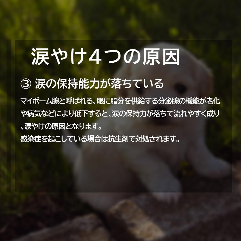 NATURE'S PROTECTION（ネイチャーズプロテクション） ホワイトドッグ