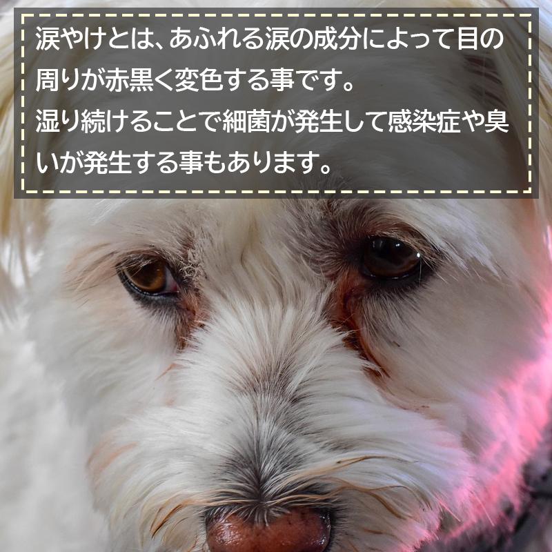 ⭐︎新品⭐︎1.5キロ×2袋　ホワイトドッグ　 目の周りのケアに‼︎ Amazon.co.jp: ドッグフード 小型犬 ホワイトドッグ ラム