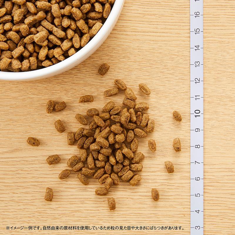 シュプレモ　子犬　6Kg | シュプレモ | 01