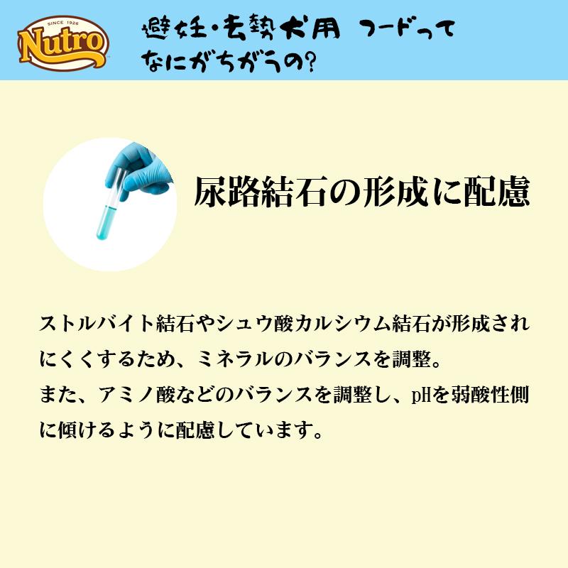 ニュートロ ナチュラルチョイス 超小型犬〜小型犬用 避妊・去勢犬用　成犬用　チキン＆玄米 1kg | ナチュラルチョイス | 06
