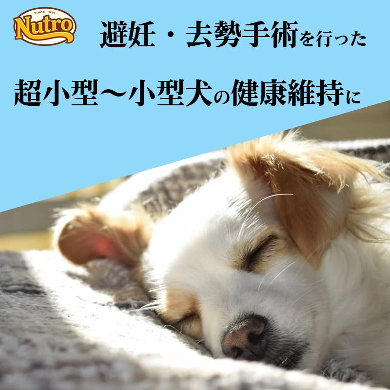 ニュートロ ナチュラルチョイス 超小型犬〜小型犬用 避妊・去勢犬用　成犬用　チキン＆玄米 1kg | ナチュラルチョイス | 04