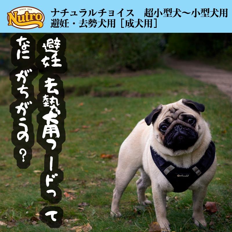 ニュートロ ナチュラルチョイス 超小型犬〜小型犬用 避妊・去勢犬用 成犬用 チキン＆玄米 6kg | ナチュラルチョイス | 05