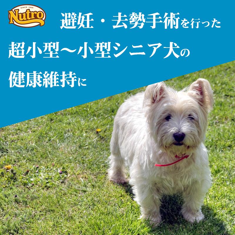 ニュートロ ナチュラルチョイス 避妊・去勢犬用 超小型犬~小型犬用 エイジングケア チキン&玄米 1kg ドッグフード | ナチュラルチョイス | 05