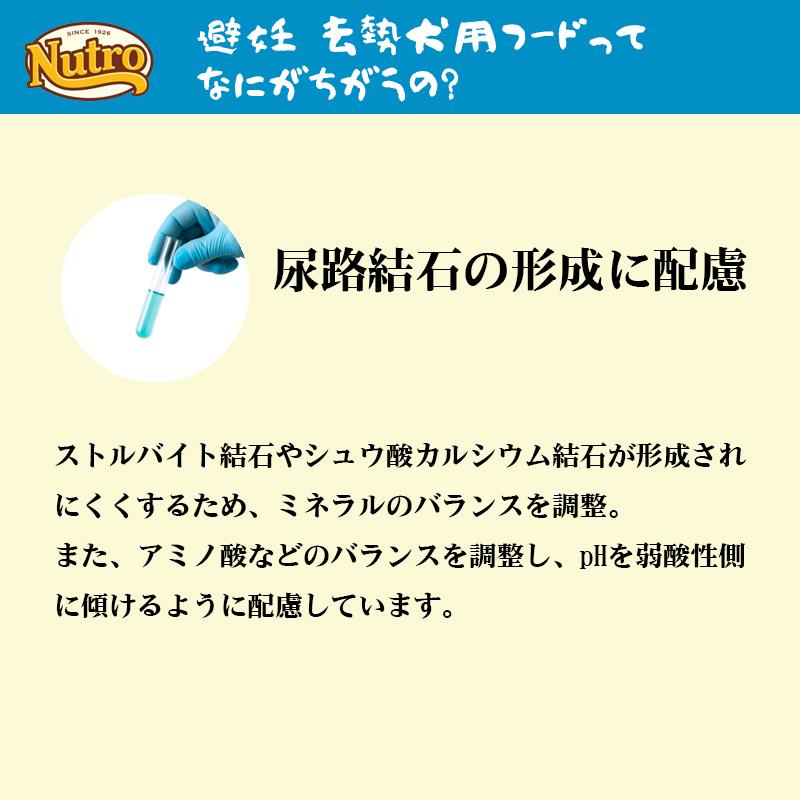 ニュートロ ナチュラルチョイス 避妊・去勢犬用 超小型犬~小型犬用 エイジングケア チキン&玄米 1kg ドッグフード | ナチュラルチョイス | 08