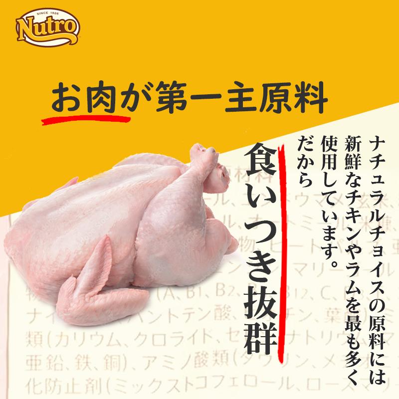 ニュートロ ナチュラルチョイス 避妊・去勢犬用 超小型犬~小型犬用 エイジングケア チキン&玄米 3kg ドッグフード | ナチュラルチョイス | 02