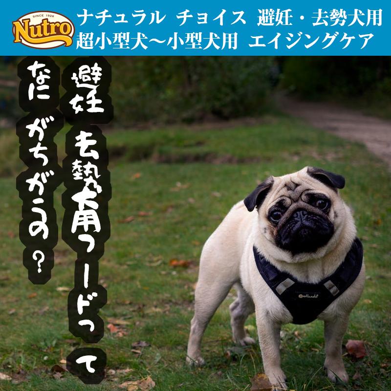 ニュートロ ナチュラルチョイス 避妊・去勢犬用 超小型犬~小型犬用 エイジングケア チキン&玄米 3kg ドッグフード | ナチュラルチョイス | 05