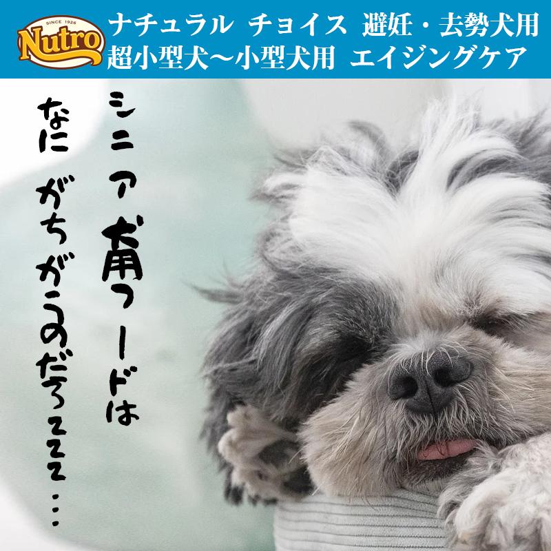 ニュートロ ナチュラルチョイス 避妊・去勢犬用 超小型犬~小型犬用 エイジングケア チキン&玄米 3kg ドッグフード | ナチュラルチョイス | 08