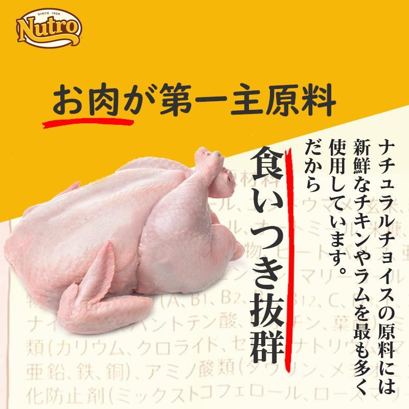 ナチュラルチョイス 超小型犬 エイジングケア 4Kg |  | 02