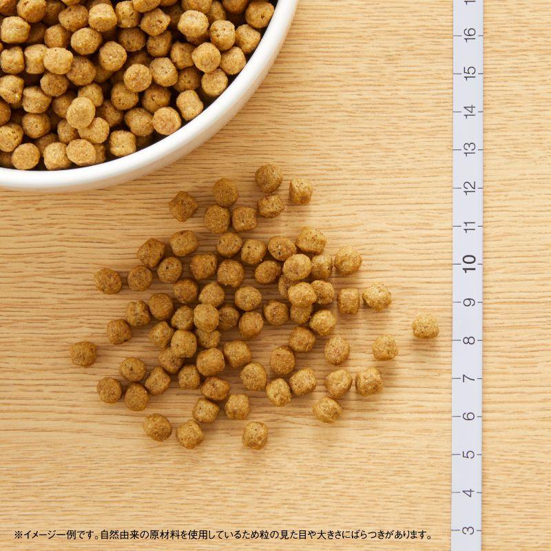 ニュートロ ナチュラル チョイス ラム&玄米 超小型犬~小型犬用 エイジングケア 6Kg | ナチュラルチョイス | 01