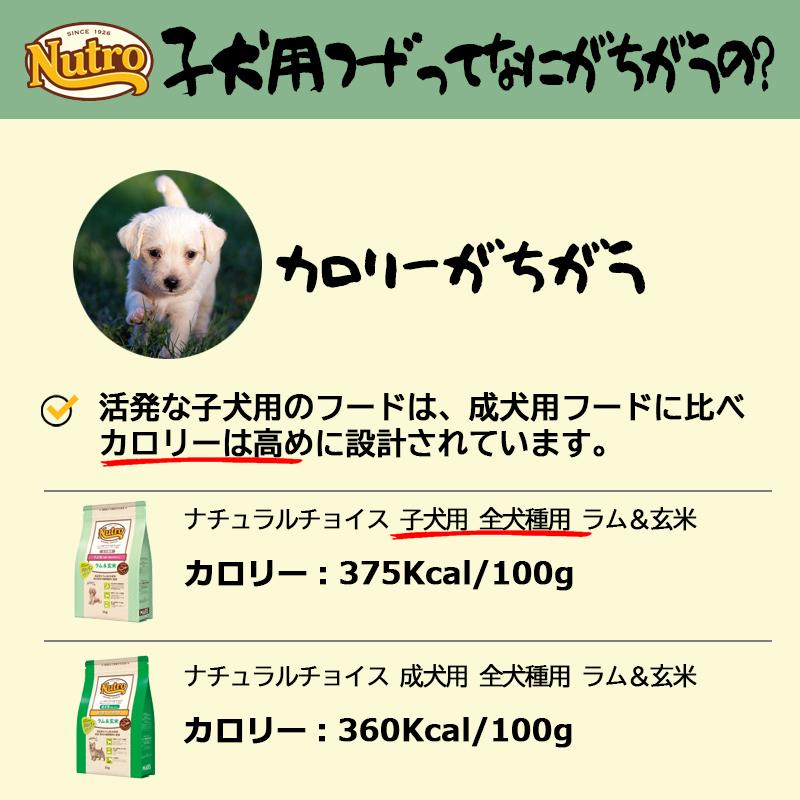 ニュートロ ナチュラル チョイス ラム&玄米 子犬用 1Kg | ナチュラルチョイス | 05