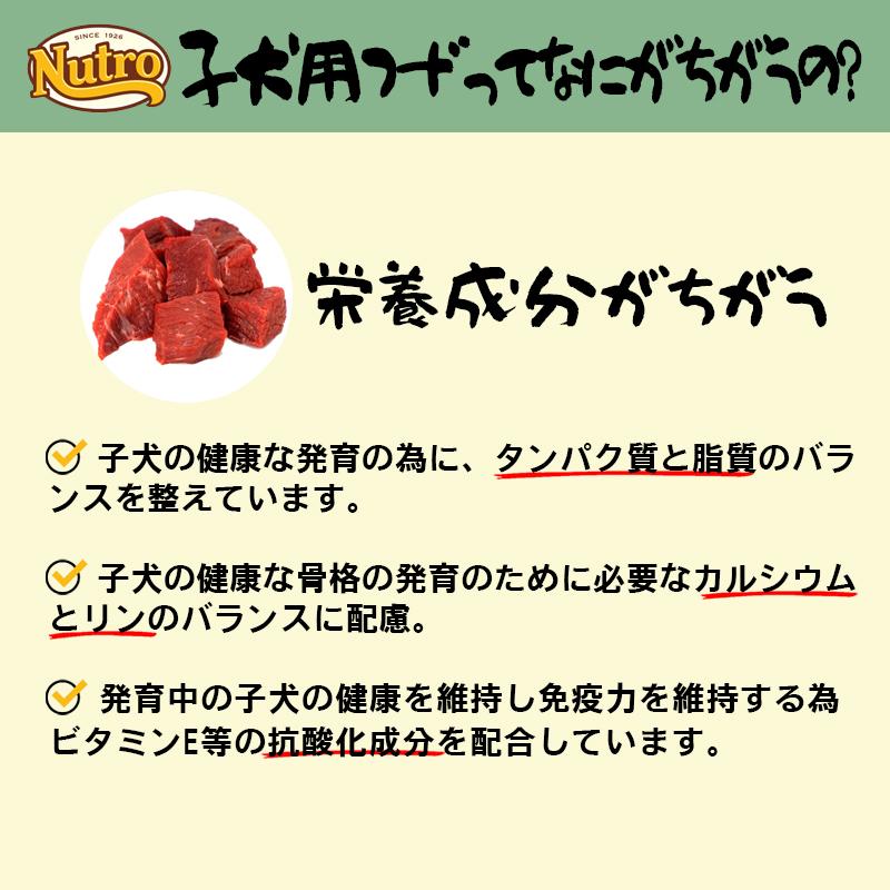 ニュートロ ナチュラル チョイス ラム&玄米 子犬用 3Kg | ナチュラルチョイス | 06