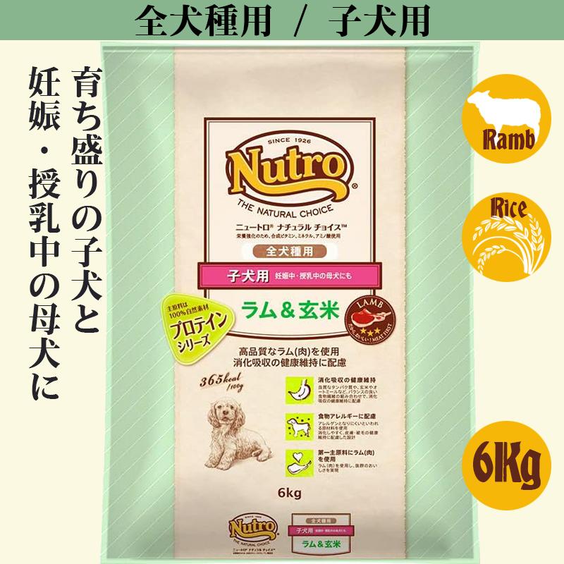 ニュートロ ナチュラル チョイス ラム&玄米 子犬用 6Kg | ナチュラルチョイス