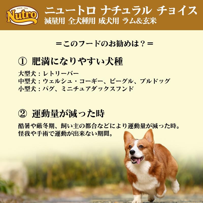 ニュートロ ナチュラル チョイス 減量用 全犬種用 1Kg |  | 04