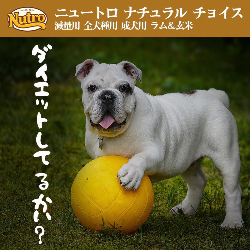 ニュートロ ナチュラル チョイス 減量用 全犬種用 1Kg |  | 08