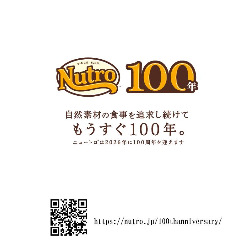 ニュートロ ナチュラル チョイス 減量用 全犬種用 1Kg |  | 09