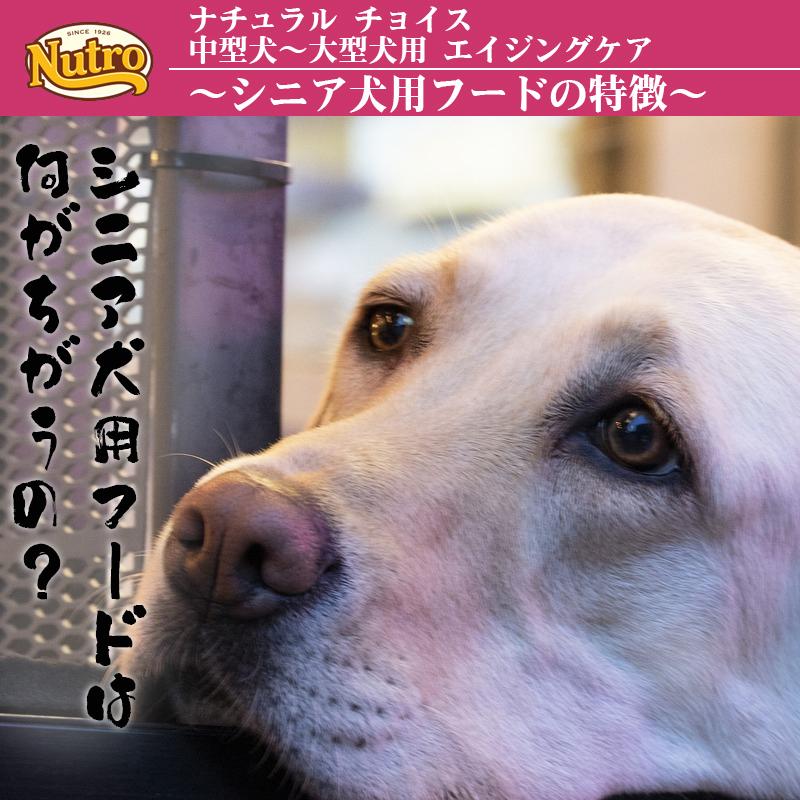 ニュートロ ナチュラル チョイス 中型犬~大型犬用 エイジングケア 4Kg | ナチュラルチョイス | 03