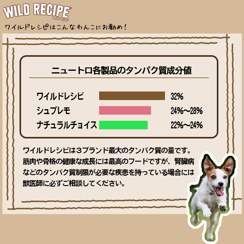WILD RECIPE ニュートロ ワイルド レシピ 超小型犬~小型犬用 成