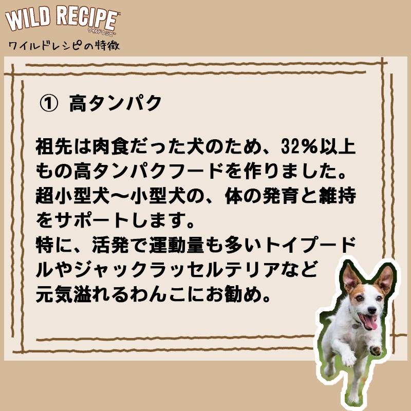 WILD RECIPE ニュートロ ワイルド レシピ 超小型犬~小型犬用 成犬用