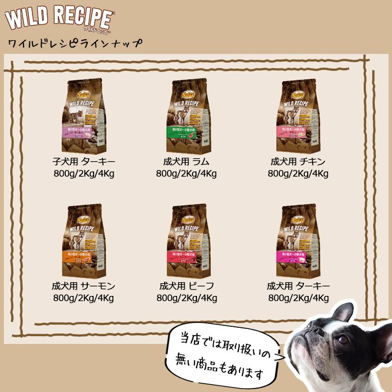 WILD RECIPE ニュートロ ワイルドレシピ ターキー 800g 超 小型犬 成