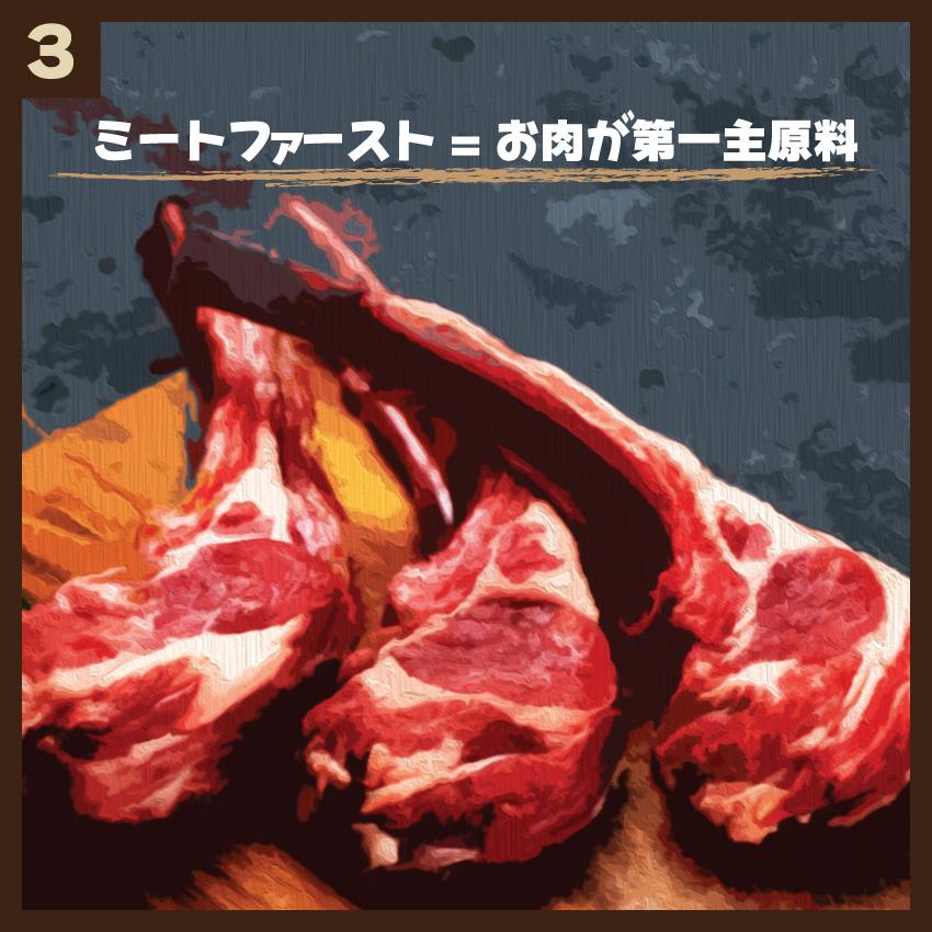 ワイルドレシピ　子犬　800g ターキー | WILD RECIPE | 03