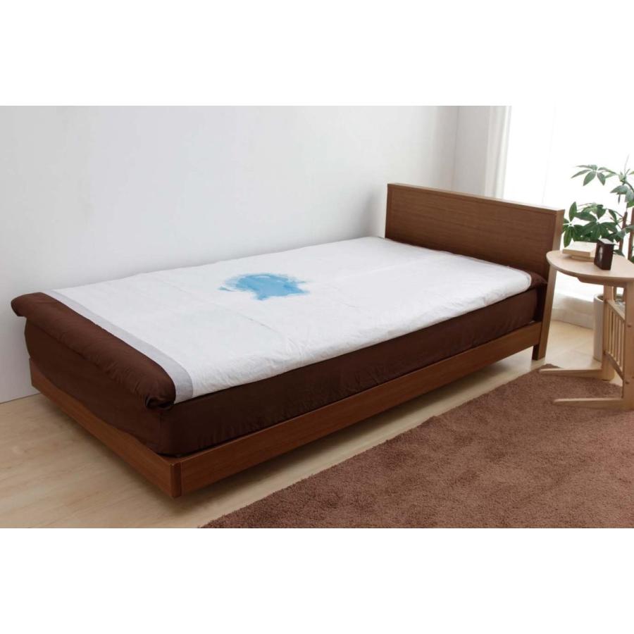 アイリスオーヤマ 防水シーツ 使い捨て 大判 Lサイズ 2枚入り Tss L2