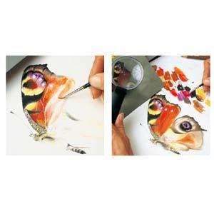 CARAN d'ACHE（カランダッシュ） 色鉛筆 水彩 アーティストライン