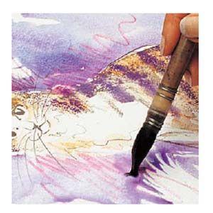 CARAN d'ACHE（カランダッシュ） 色鉛筆 水彩 アーティストライン