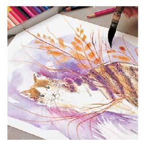 CARAN d'ACHE（カランダッシュ） 色鉛筆 水彩 アーティストライン