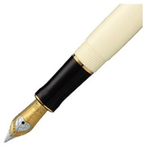 PARKER（パーカー） デュオフォールド クラシック インターナショナル