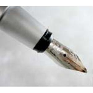 万年筆 名入れ フィオレンティーナ パラチオ スカイウッド 2本セット