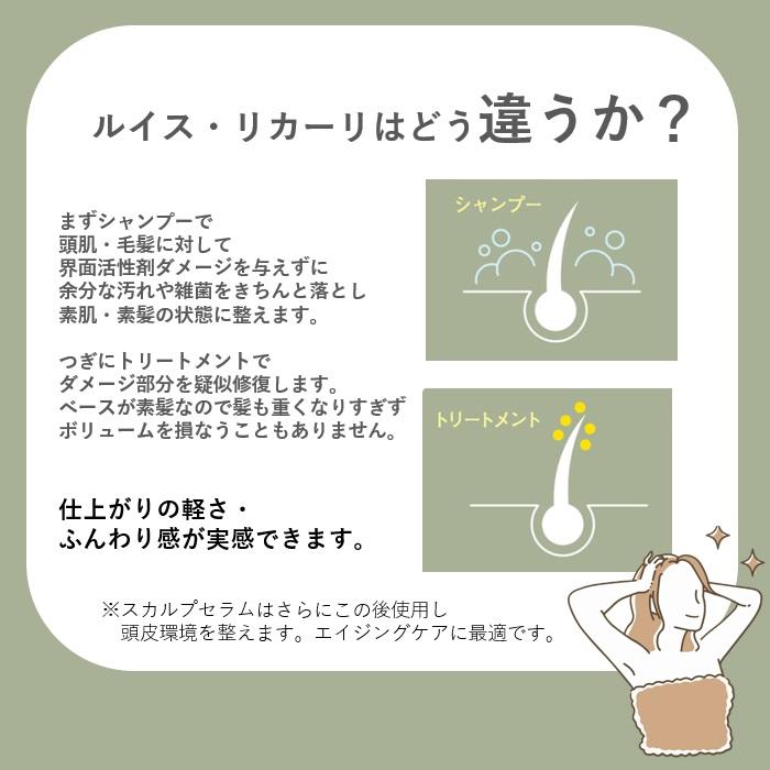 ルイス リカーリ 【スカルプセラム 15ml 4本入り 公式販売店】NOERUTOTO  LOUIS LICARI |  | 04