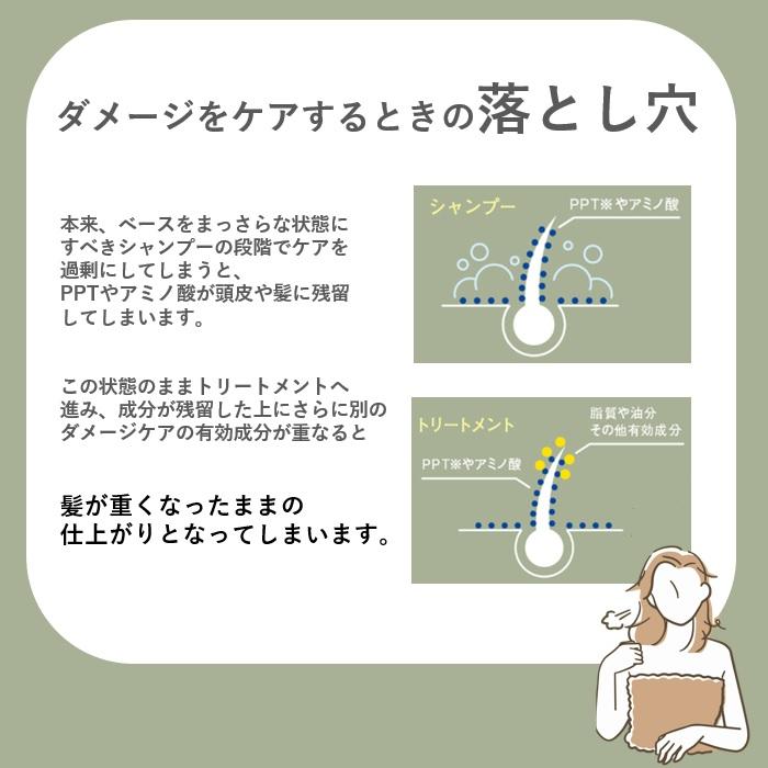 ルイス リカーリ シャンプー  300ml　トリートメント 200ml　スカルプセラム15ml 4本　3点セット 【公式販売店】NOERUTOTOLOUIS LICARI |  | 03