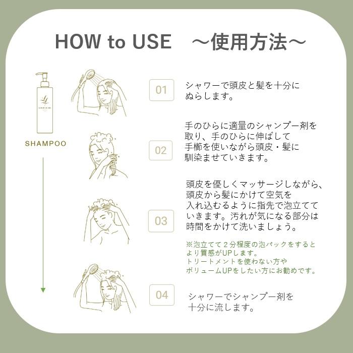 ルイス リカーリ シャンプー  300ml　トリートメント 200ml　スカルプセラム15ml 4本　3点セット 【公式販売店】NOERUTOTOLOUIS LICARI |  | 09