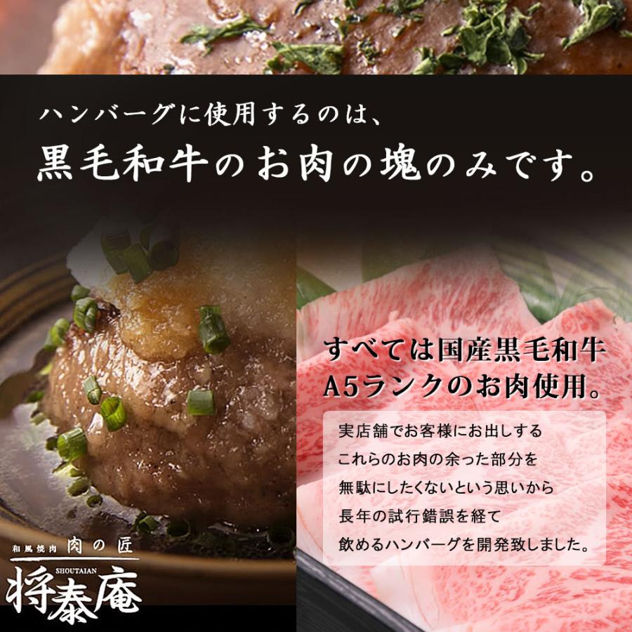 将泰庵 飲めるハンバーグ 6個セット 高級 通販 ギフト 冷凍 国産 黒毛和牛 A5ランク ハンバーグ 肉フェス お歳暮 御歳暮 御年賀 肉の匠 将泰庵 飲めるハンバーグ 通販 Yahoo ショッピング