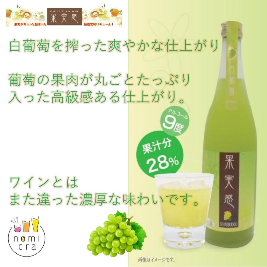 果実感 白葡萄 リキュール 720ml 9度 果汁分28％ : お酒の専門店 酒蔵
