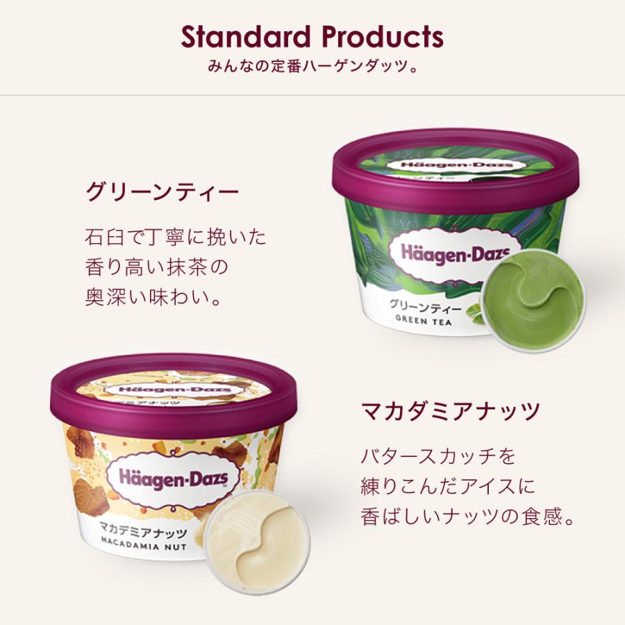 ハーゲンダッツ アイスクリーム ミニカップギフト セット10個 お中元