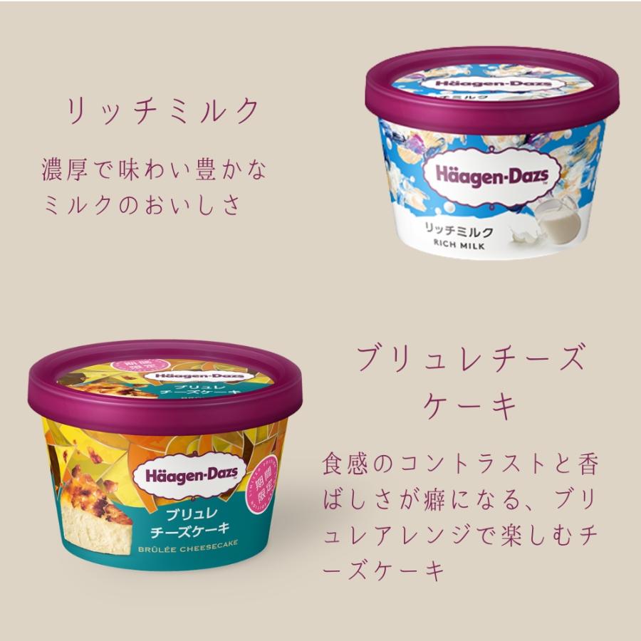 ハーゲンダッツ アイスクリーム ミニカップギフト セット10個 お中元