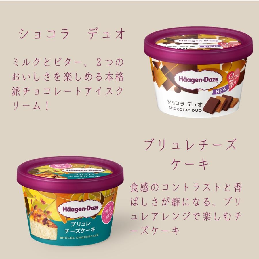 ハーゲンダッツ（Haagen-Dazs） アイスクリーム ミニカップ 23種類から 