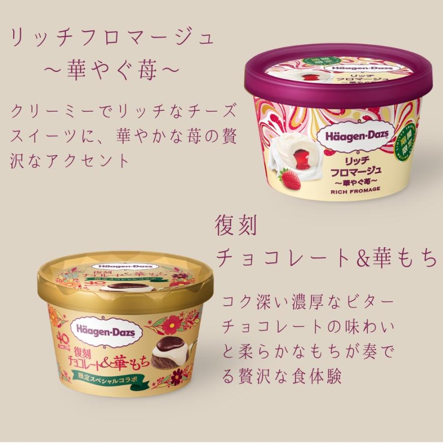 ハーゲンダッツ（Haagen-Dazs） アイスクリーム ミニカップ 23種類から 