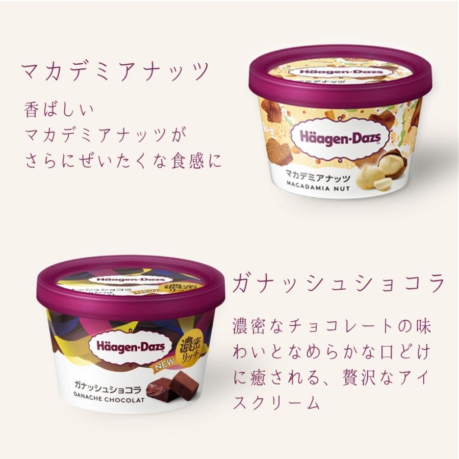 ハーゲンダッツ（Haagen-Dazs） アイスクリーム ミニカップ 15種類から