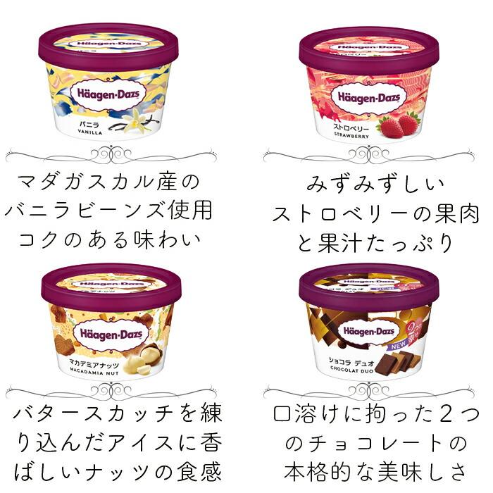 ハーゲンダッツ アイスクリーム ミニカップ 21種類から2種類選べる福袋12個（6個×2種類）セット｜nomimon｜04